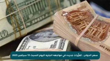 سعر الدولار.. تغيُّرات جديدة في مواجهة الجنيه اليوم السبت 13 سبتمبر 2025